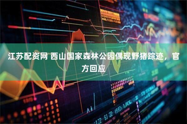 江苏配资网 西山国家森林公园偶现野猪踪迹，官方回应