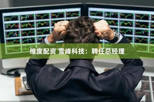 维度配资 雪峰科技：聘任总经理