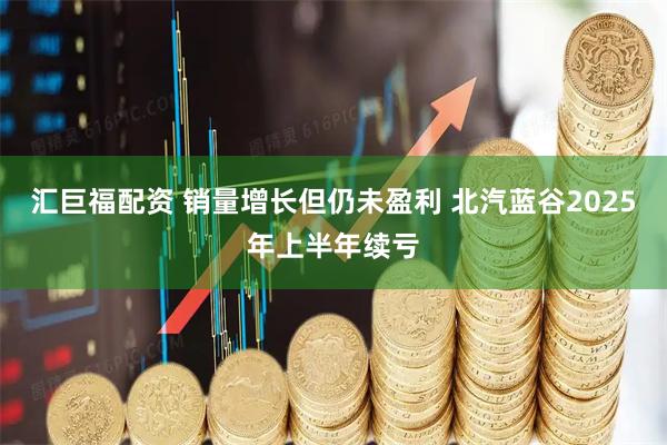 汇巨福配资 销量增长但仍未盈利 北汽蓝谷2025年上半年续亏